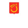 Администрация городского округа Балашиха