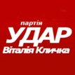 УДАР. Партия