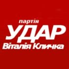 УДАР. Партия