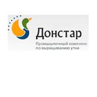 Донстар