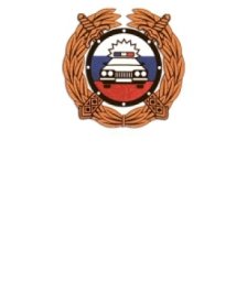 ГИБДД МВД РФ