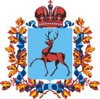 Правительство Нижегородской области