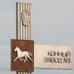 Пермский племенной конный завод №9