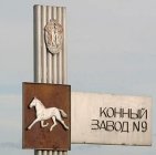 Пермский племенной конный завод №9