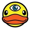 My Duck’s Vision