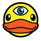 My Duck’s Vision