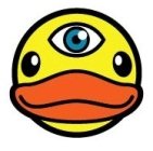 My Duck’s Vision
