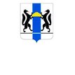 Правительство Новосибирской области