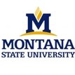 Montana State University