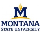 Montana State University