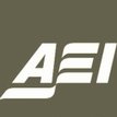 Американский институт предпринимательства