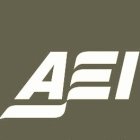 Американский институт предпринимательства