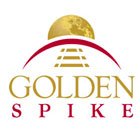 Golden Spike