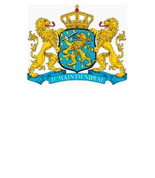 Правительство Нидерландов