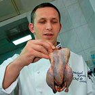 Ковалев Михаил